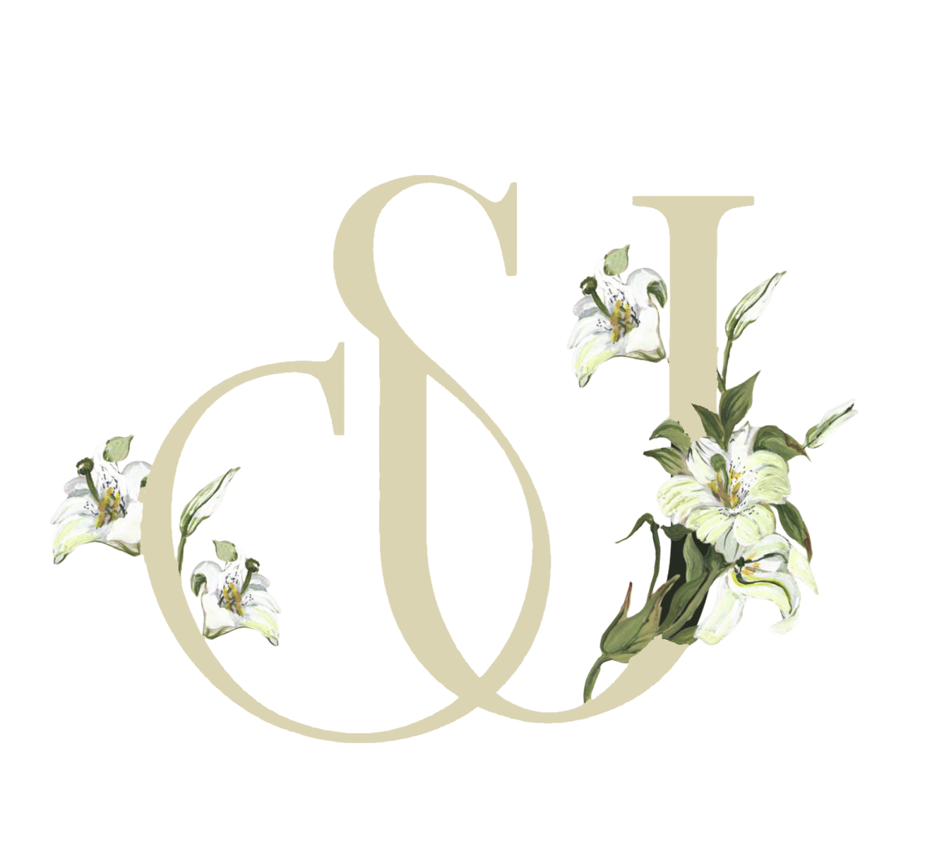 S & U