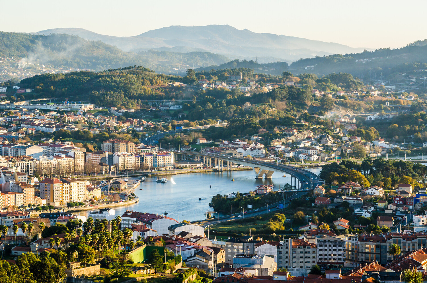 Vigo